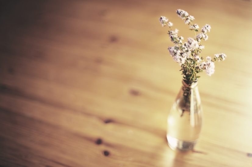 Um vaso com flores: a partilha de conhecimento sobre o Reiki levou ao florescimento de novas informações | Foto: 55Laney69/Creative Commons