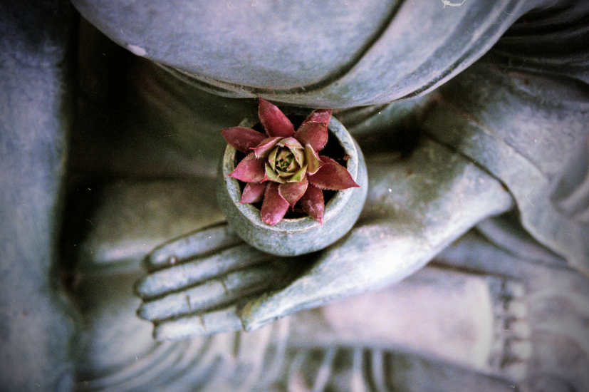 Uma flor na mão de uma estátua: os ensinamentos do Reiki evoluíram, mas partilham a mesma semente | Foto: Benjamin Balázs/Creative Commons