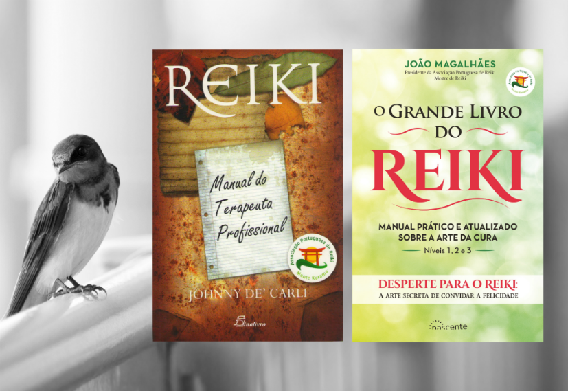 Manuais de referência: Reiki - Manual do Terapeuta Profissional e O Grande Livro do Reiki| Foto: t-mizo/Creative Commons